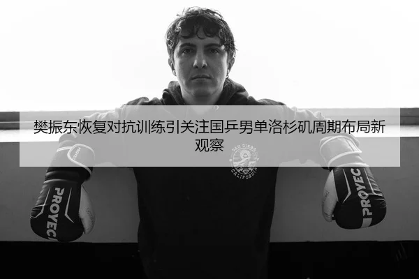 樊振东恢复对抗训练引关注国乒男单洛杉矶周期布局新观察
